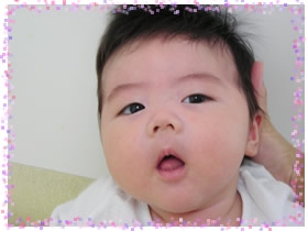 今月の赤ちゃん