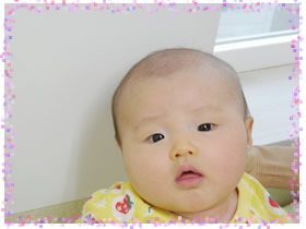 今月の赤ちゃん